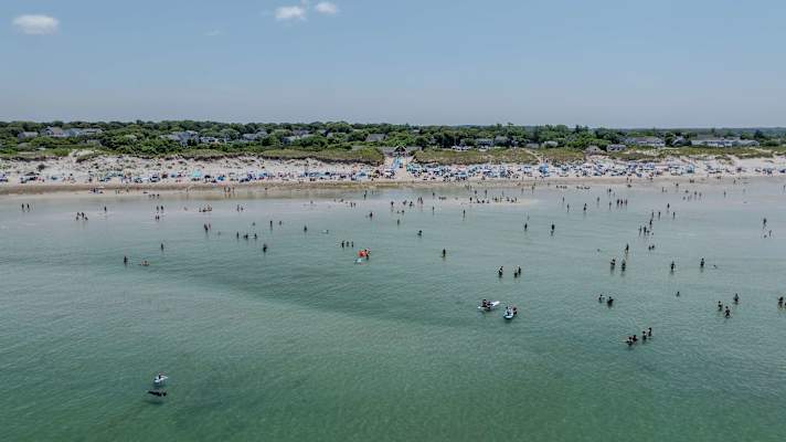 Photo 3 of Del Mar #19901 - Amazing Backyard, Spacious, Dog Friendly!