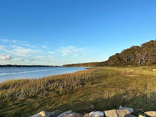 Photo 5 of Del Mar #15593 - Walk to Water, Cozy, Dog Friendly!