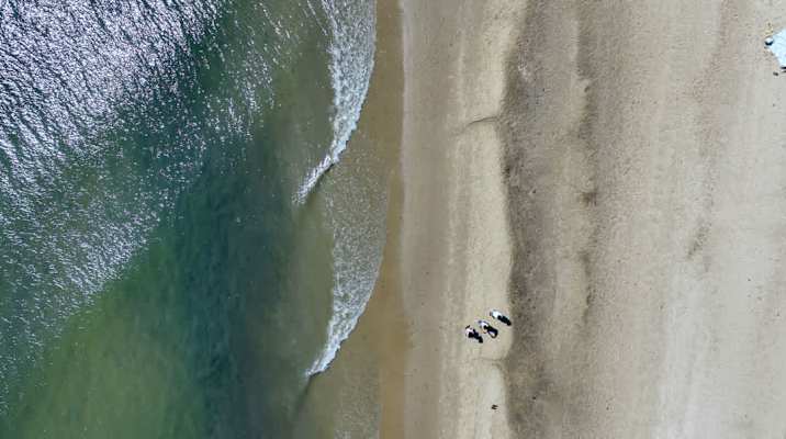 Photo 9 of Del Mar #16699 - Central AC, Dog Friendly, Private Yard!