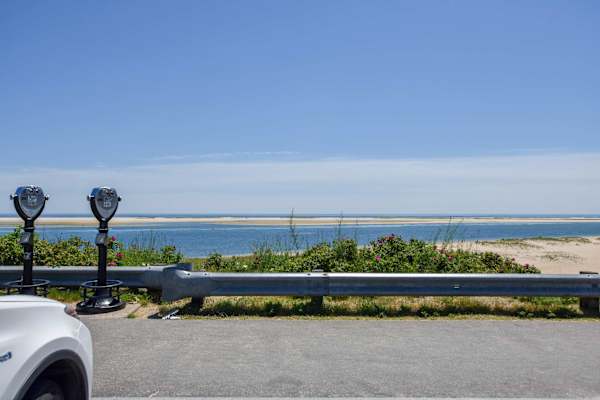 Photo 8 of Del Mar #16699 - Central AC, Dog Friendly, Private Yard!