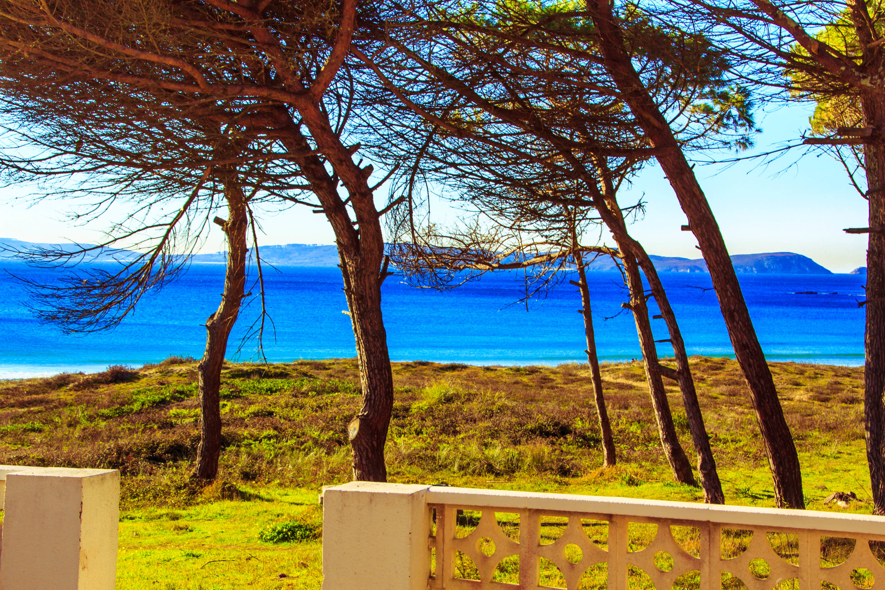Galicia Holliday