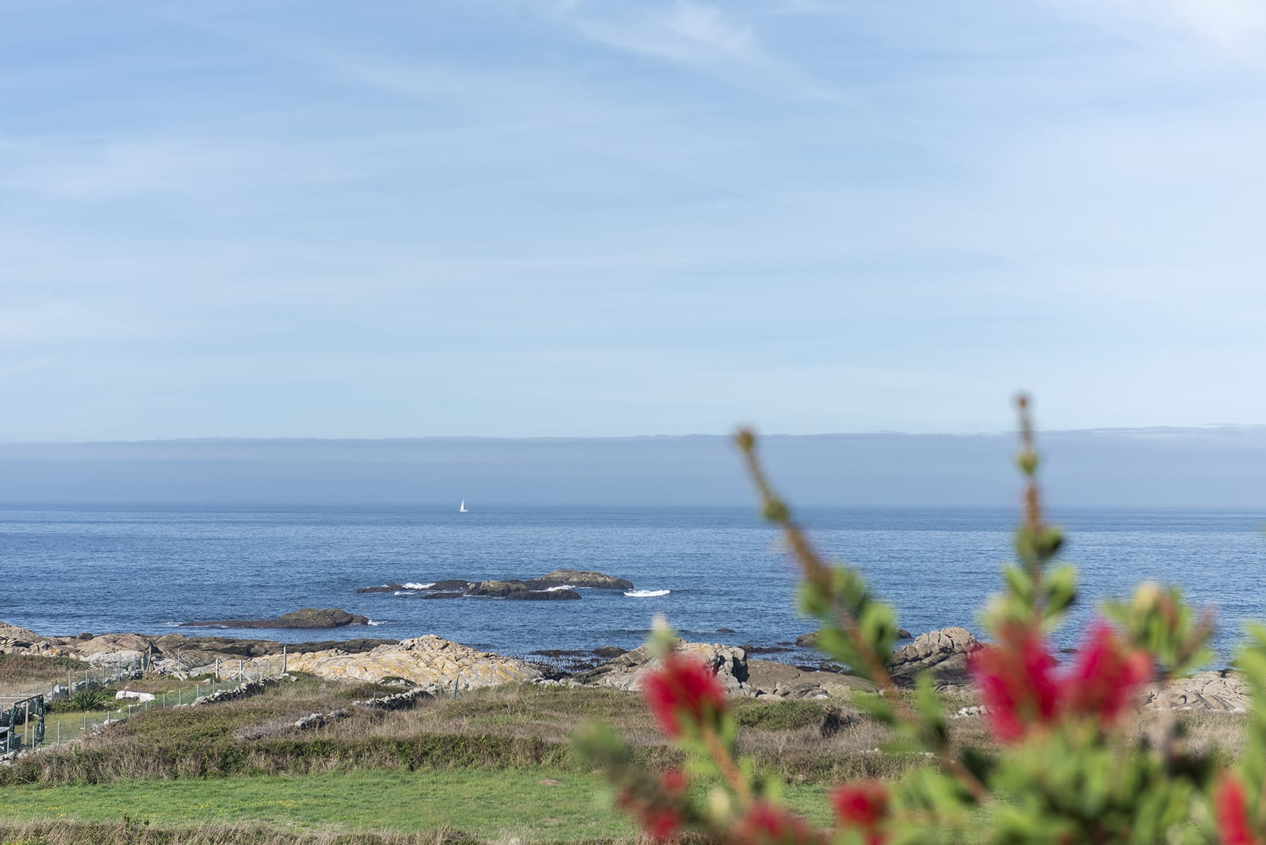 Galicia Holliday