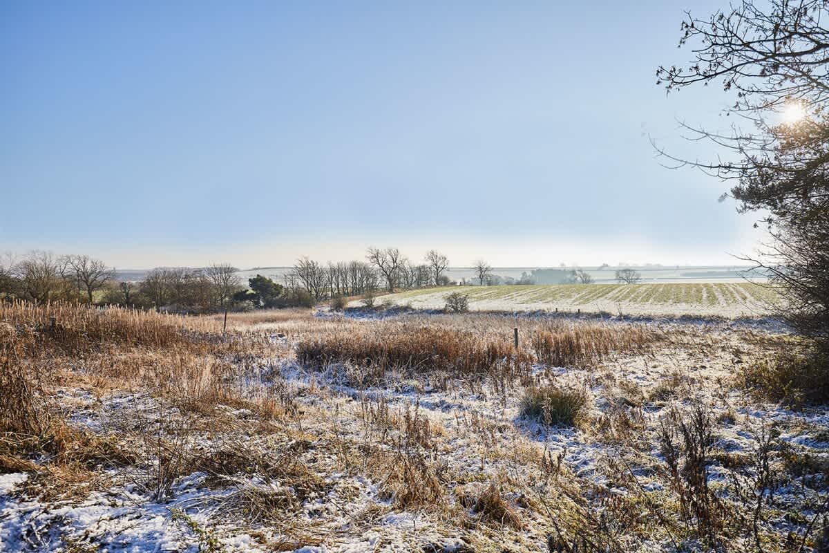The Gathering – photo 23