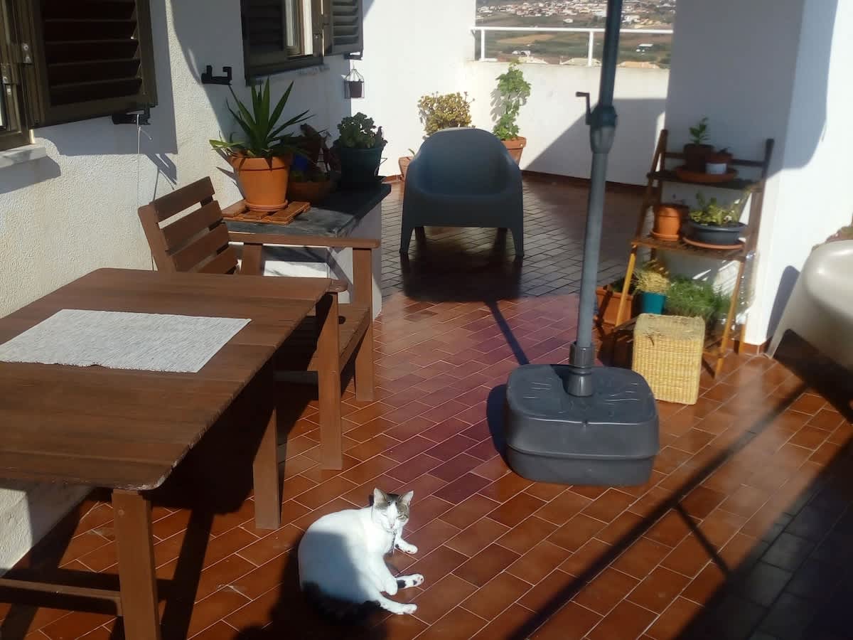 Casa da Torre Rooftop Terrace - Picture 4