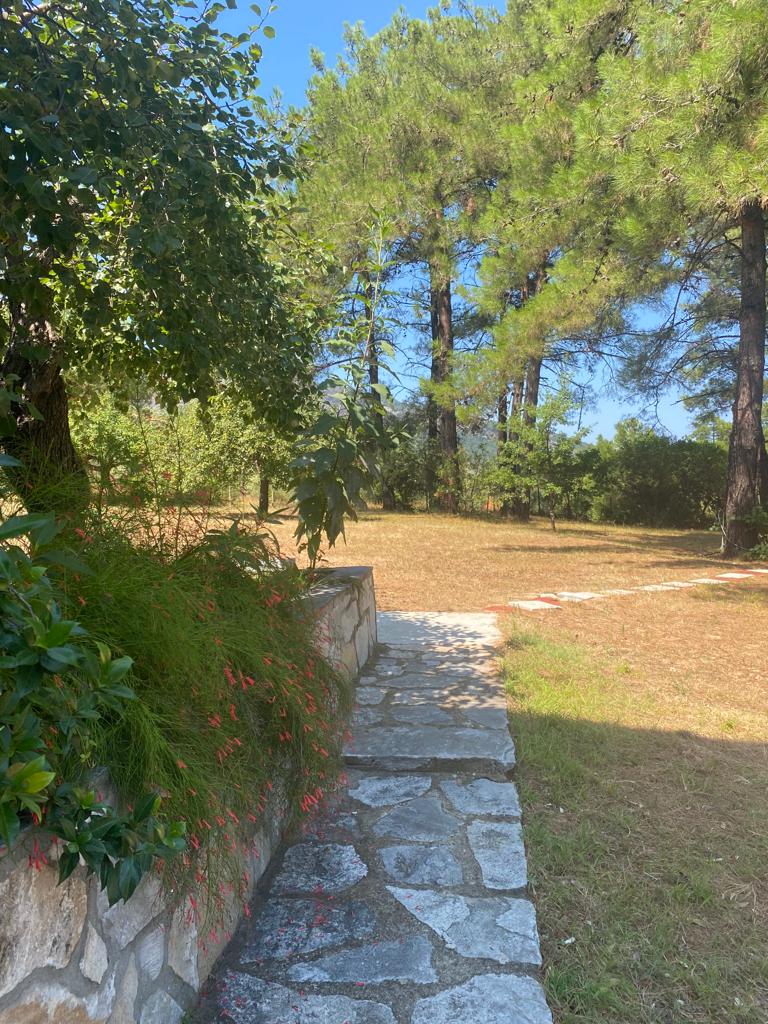 View 9