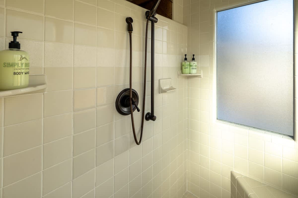 Lower Level Shower
