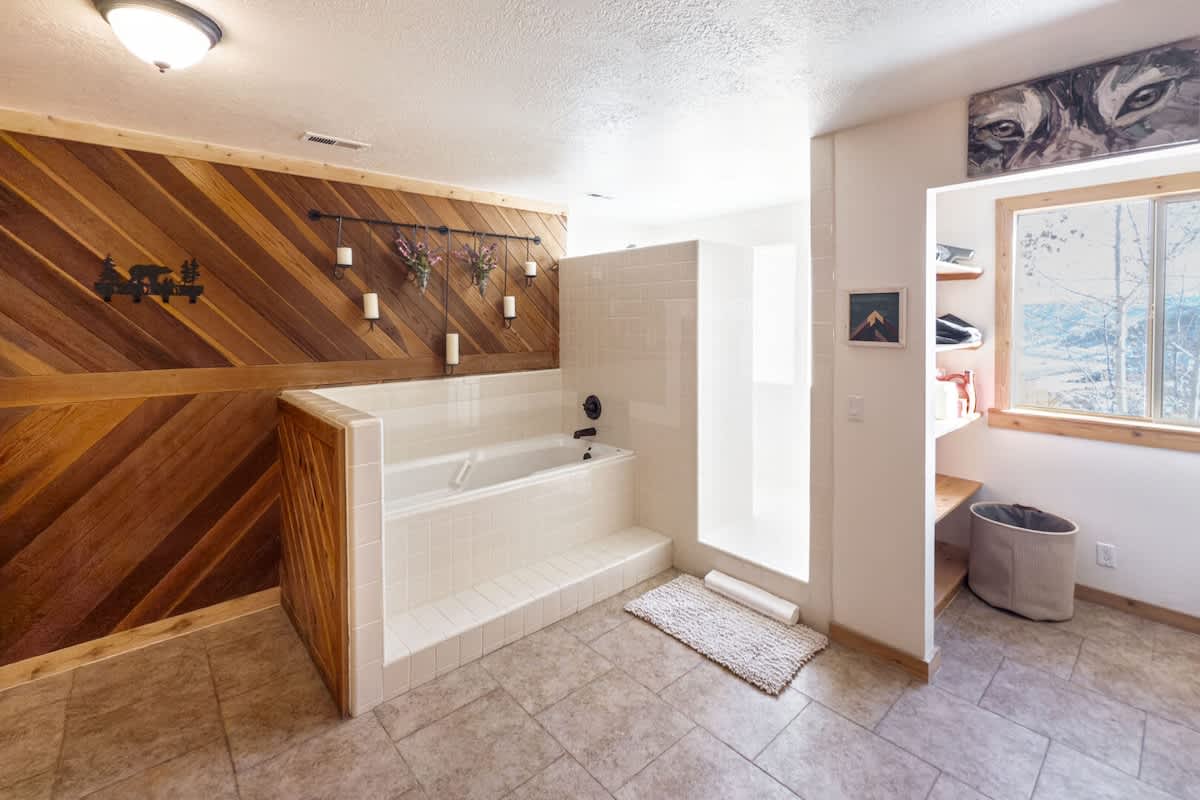 Lower Level Bathtub