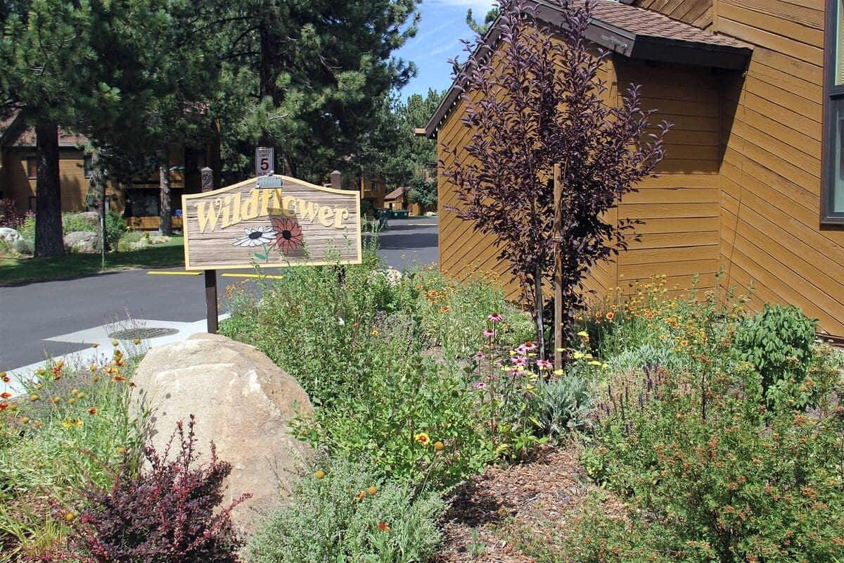 Complex Sign