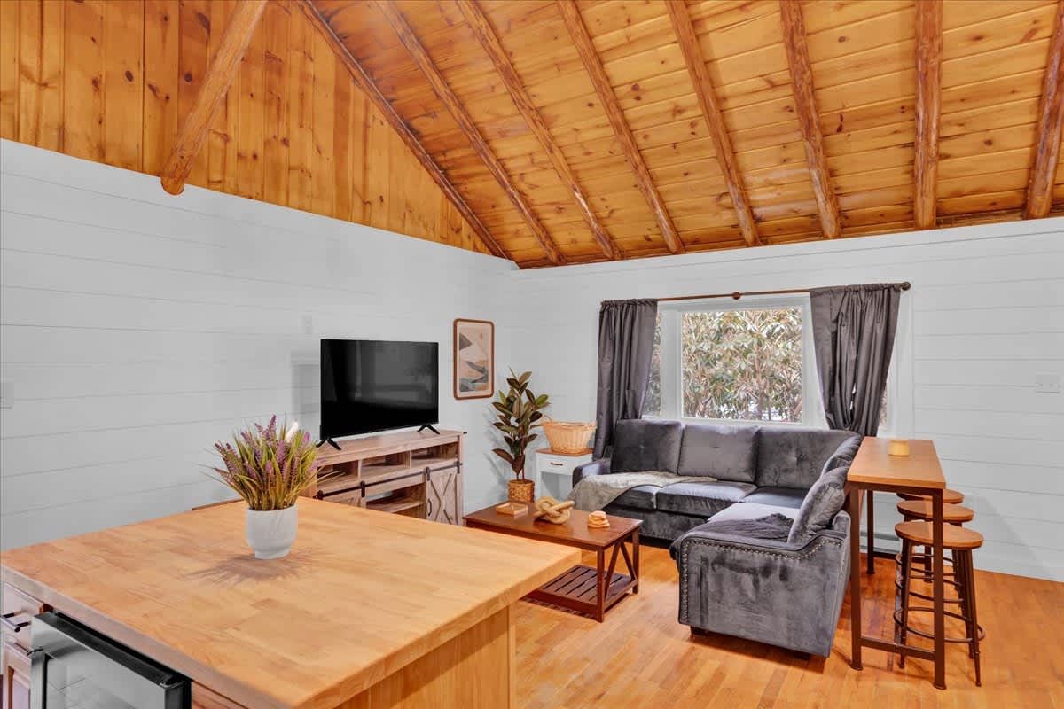 Modern Pocono Wilderness Cabin | Hot Tub | Firepit