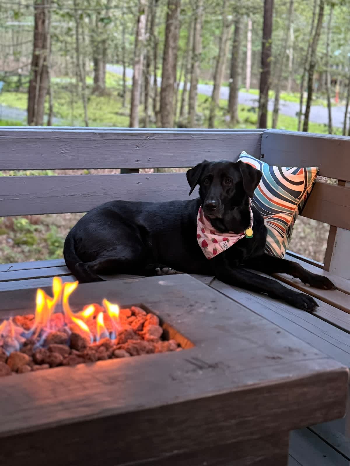 Luxury Pocono Escape | Hot Tub | Game Room
