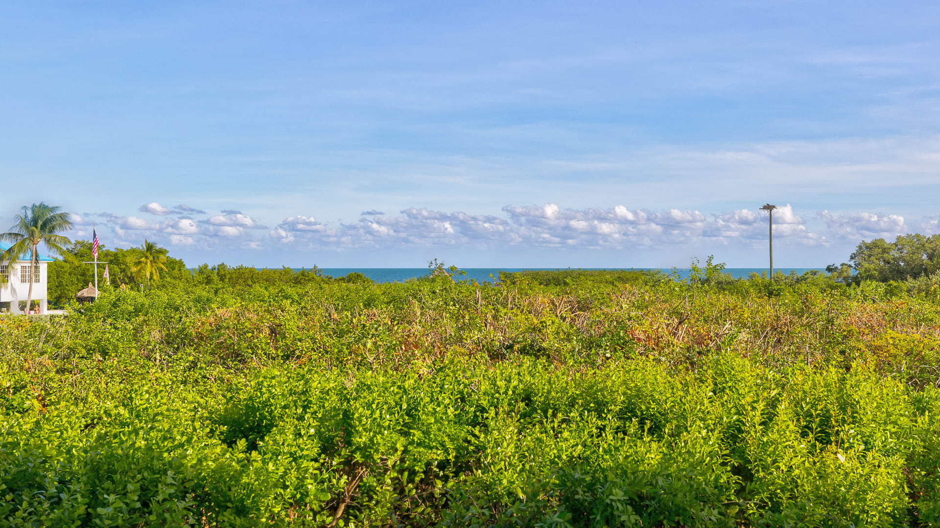 Reel Key Largo | Next to Pool | Ocean Pointe 5209 - Photo 29