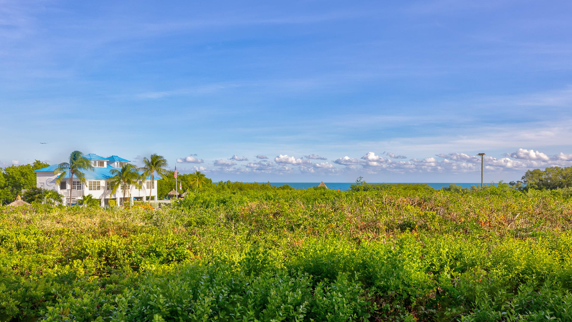 Reel Key Largo | Next to Pool | Ocean Pointe 5209 - Photo 35