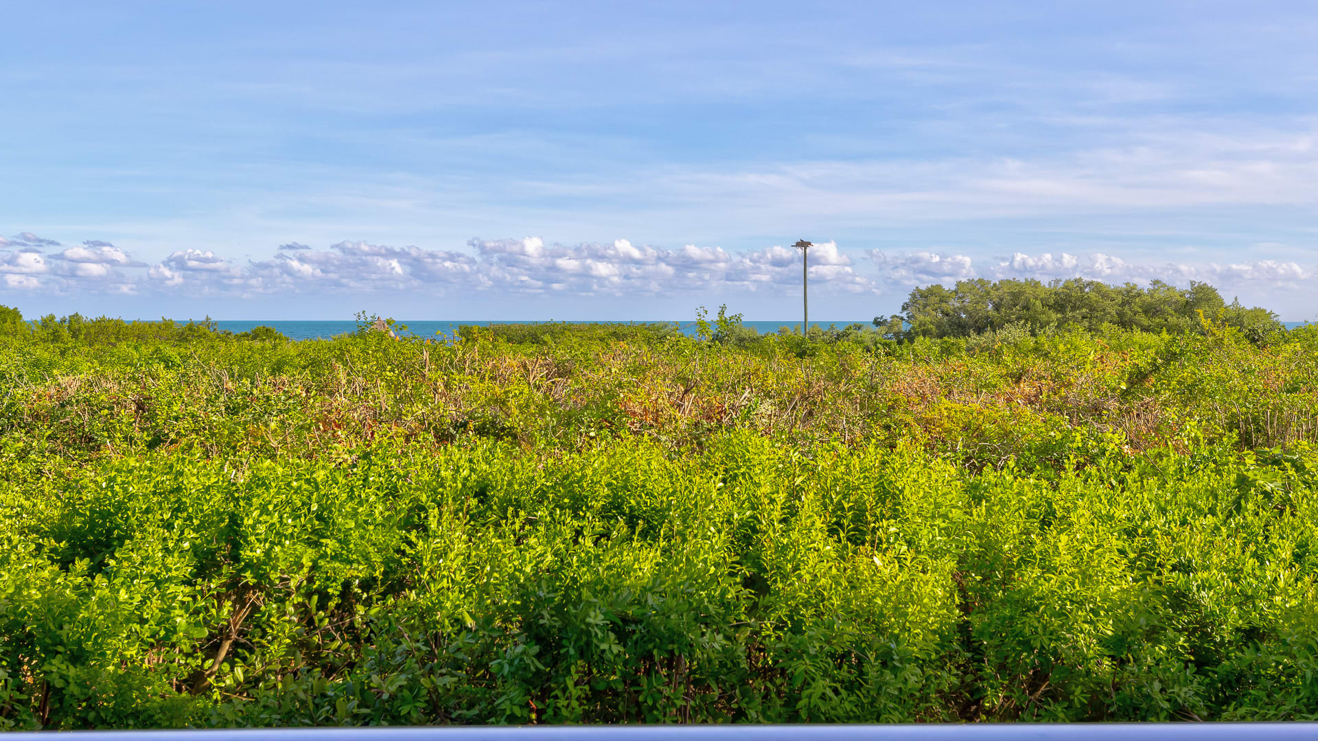 Reel Key Largo | Next to Pool | Ocean Pointe 5209 - Photo 30