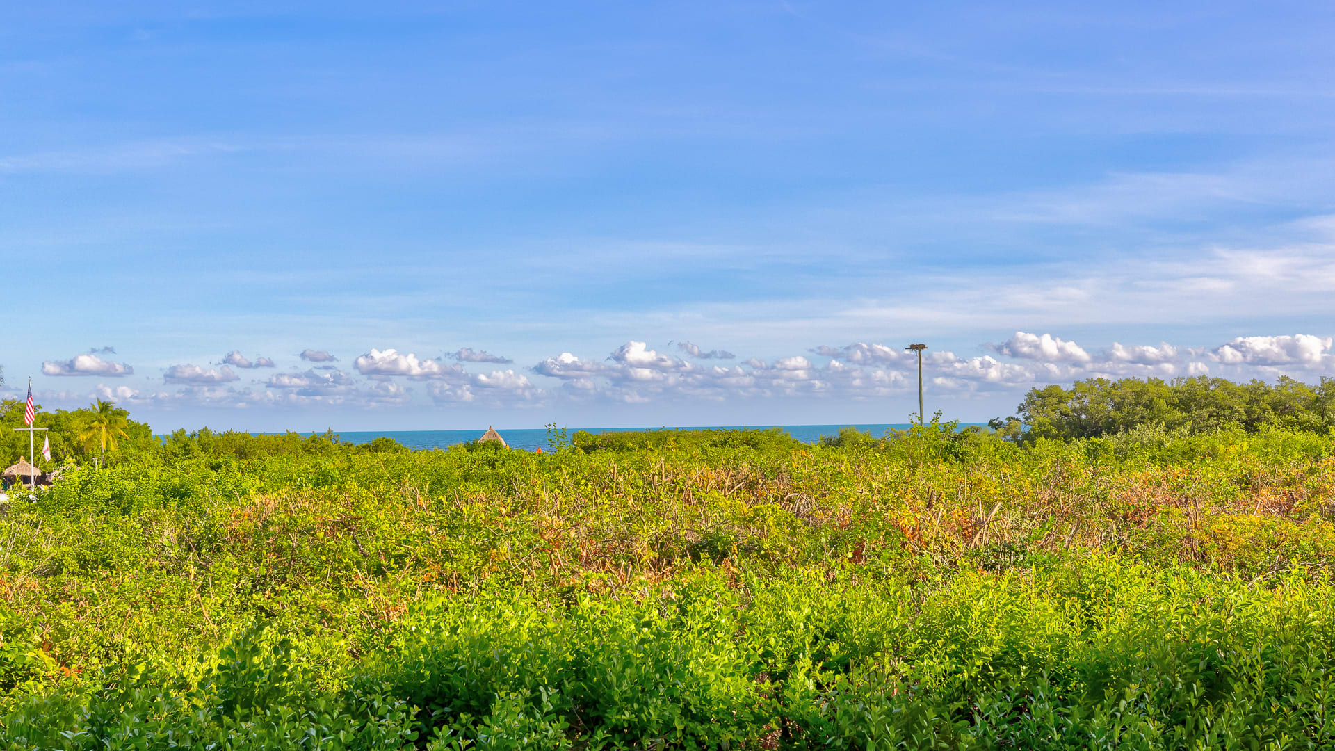 Reel Key Largo | Next to Pool | Ocean Pointe 5209 - Photo 36