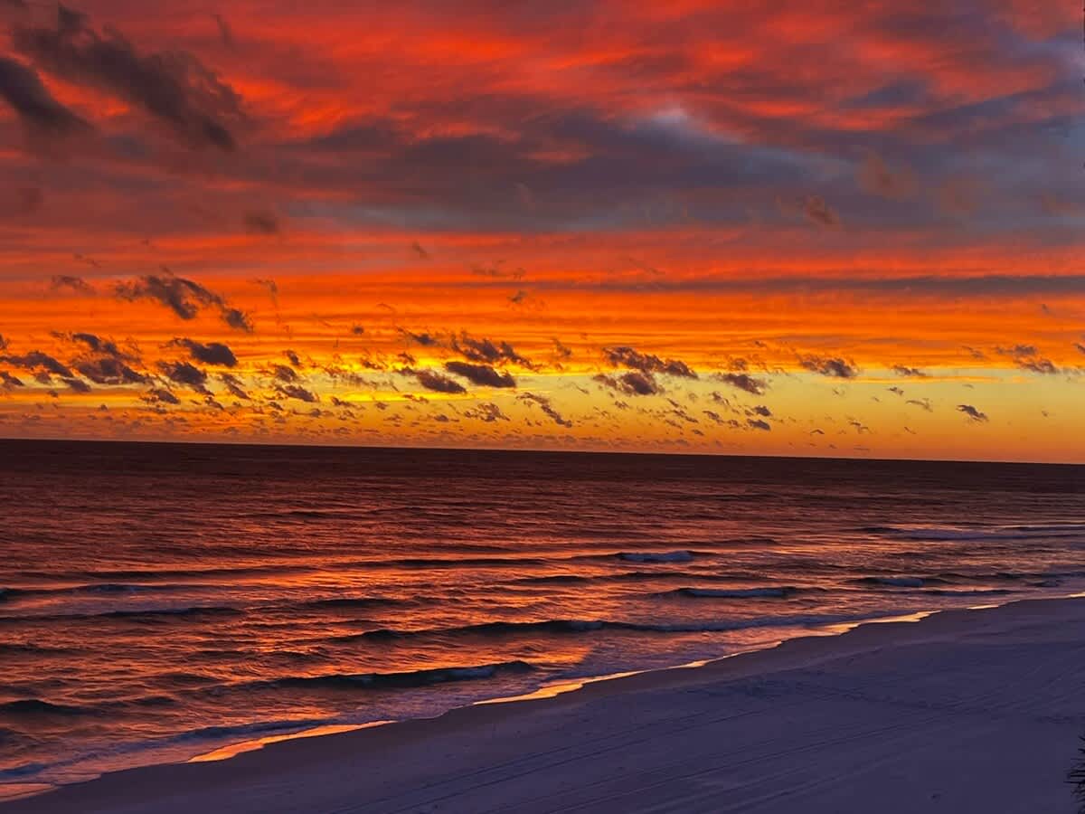 Beach Please 49