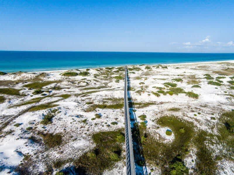 Beach Please 50