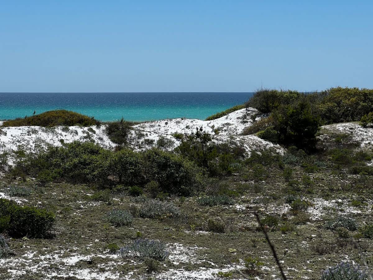Beach Please 52