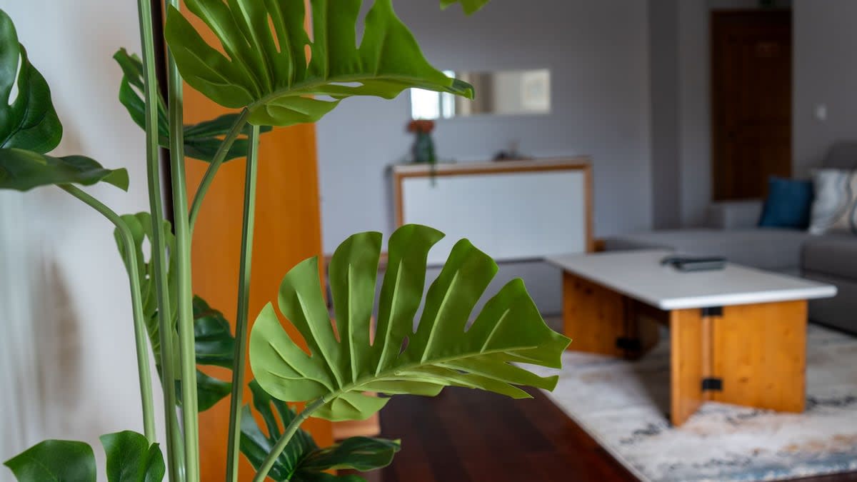 Property thumbnail 25