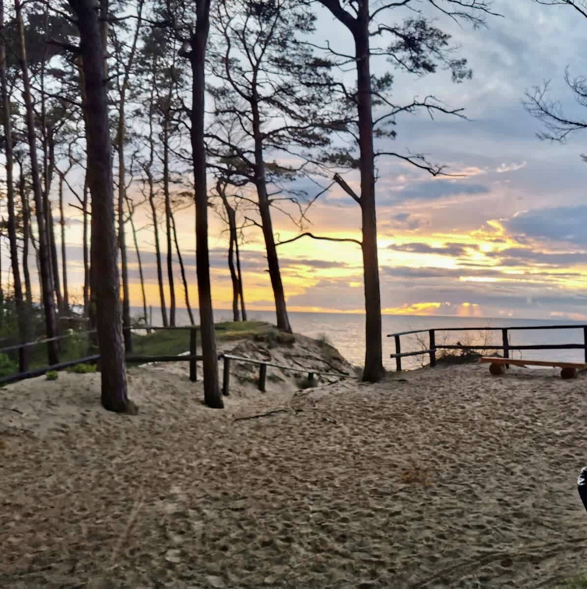 View 10