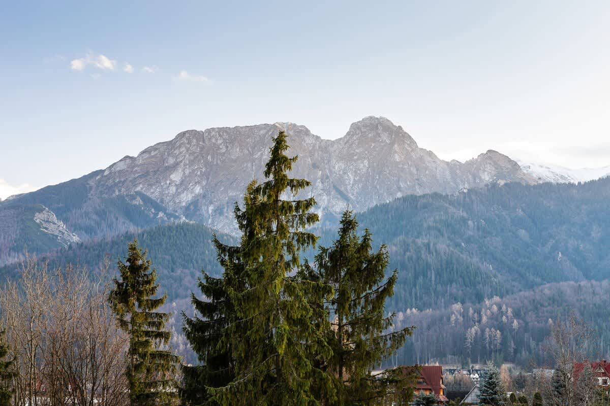 View 7