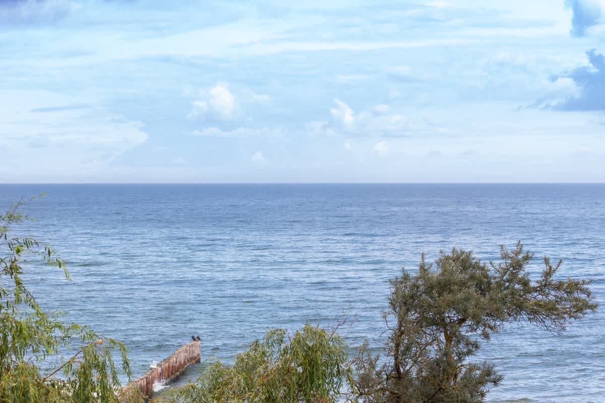 View 5