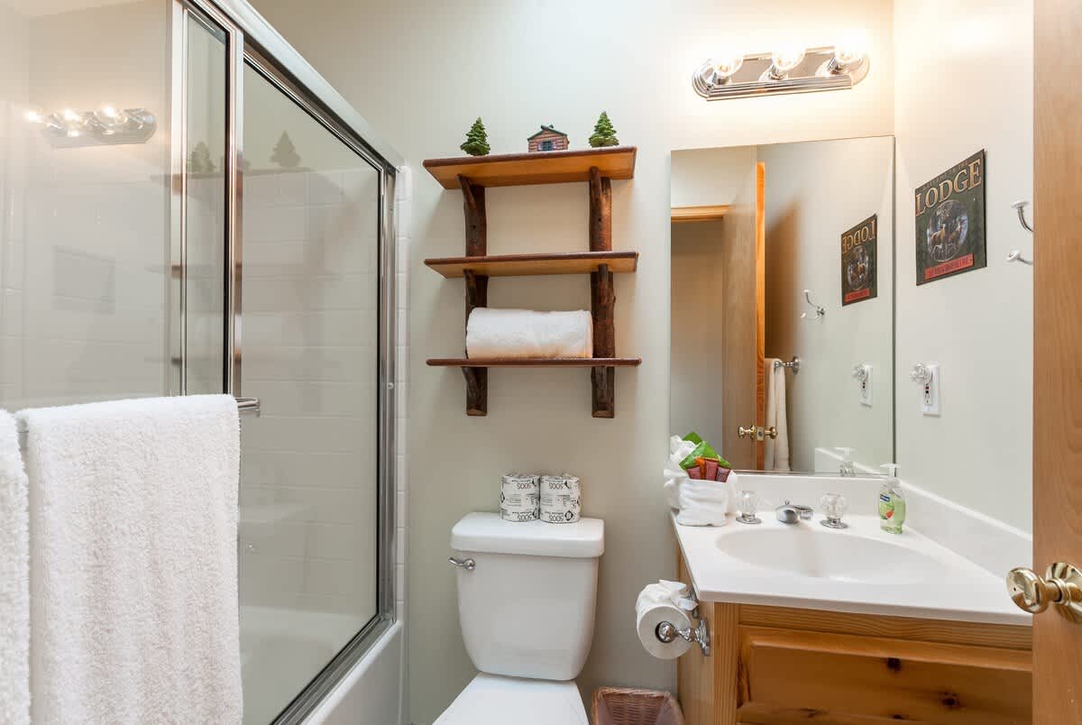 Hall bathroom with skylight and shower