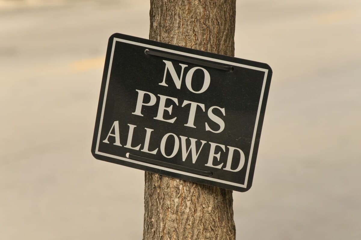 Sorry, no pets allowed