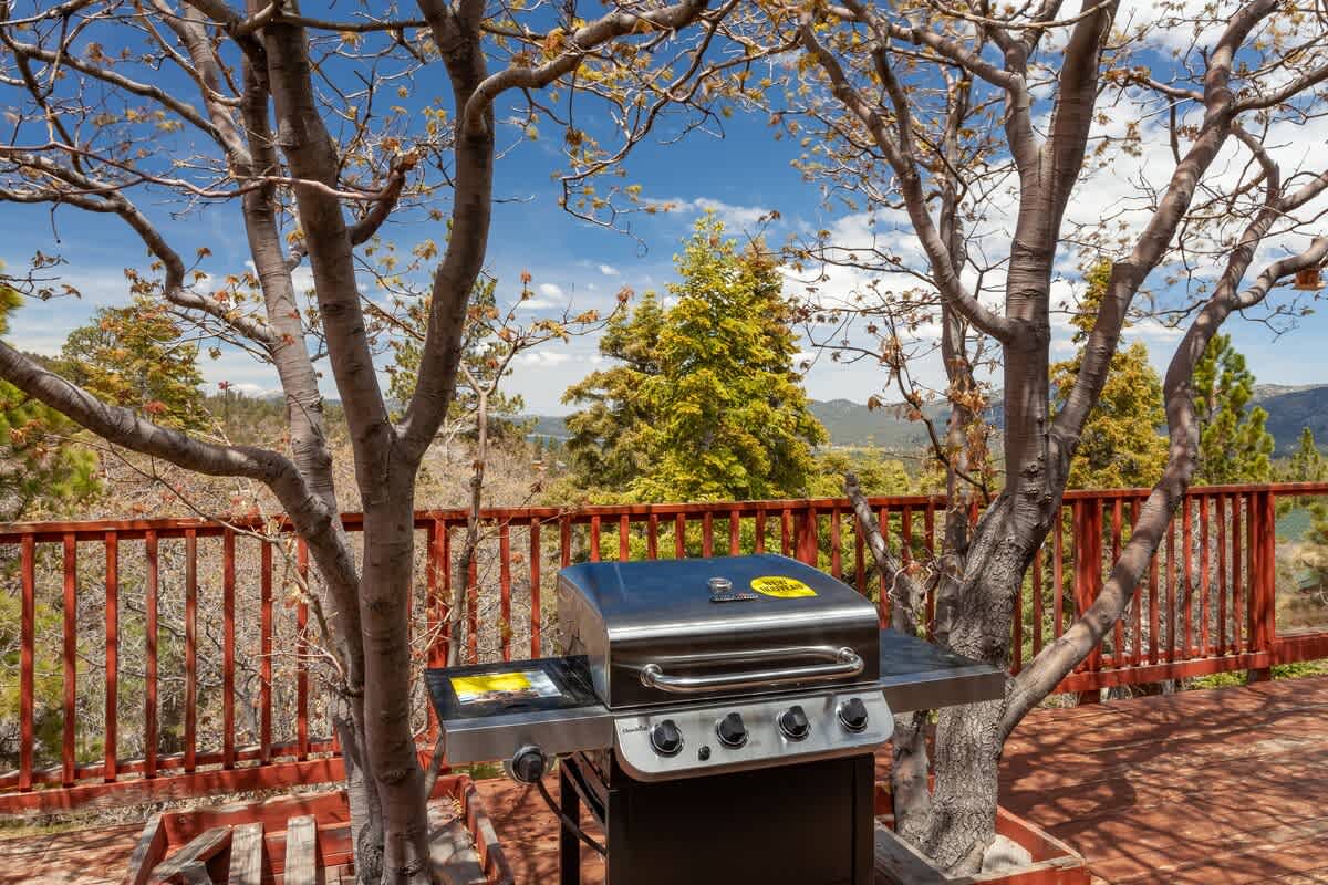 Propane BBQ with treetop views