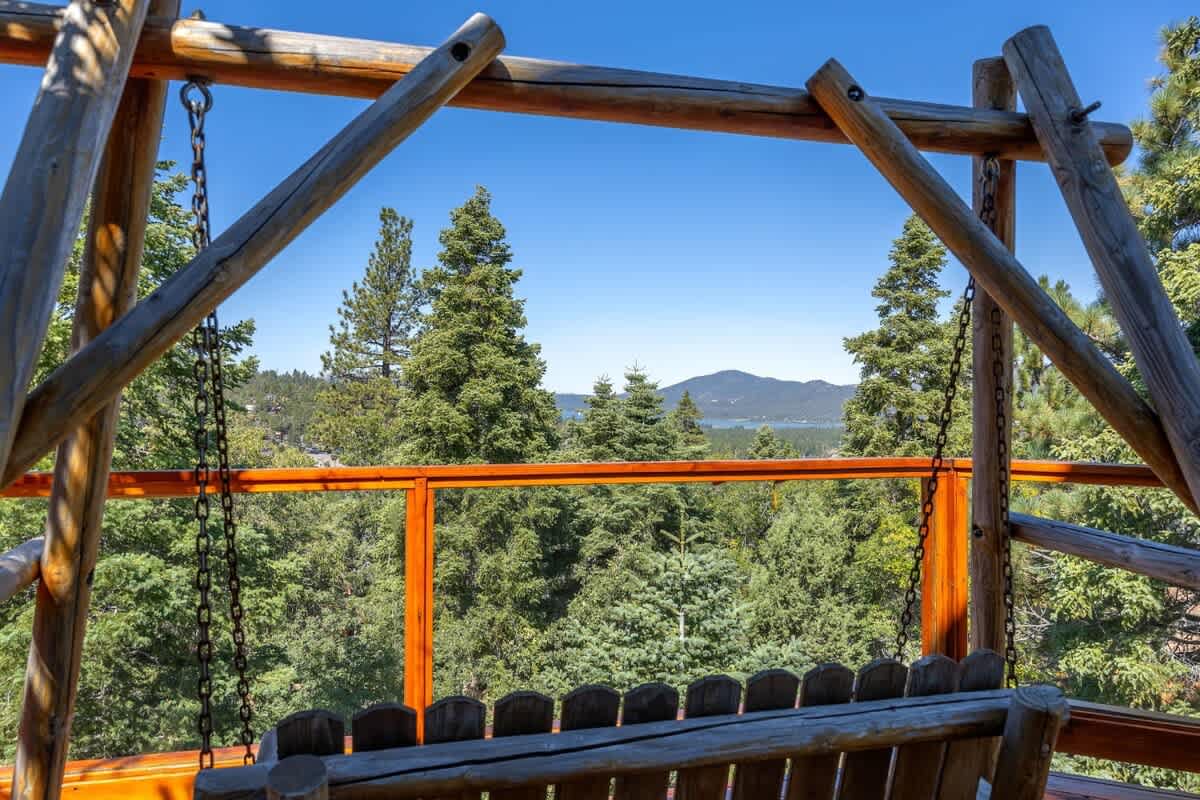 Swing with a view of the lake