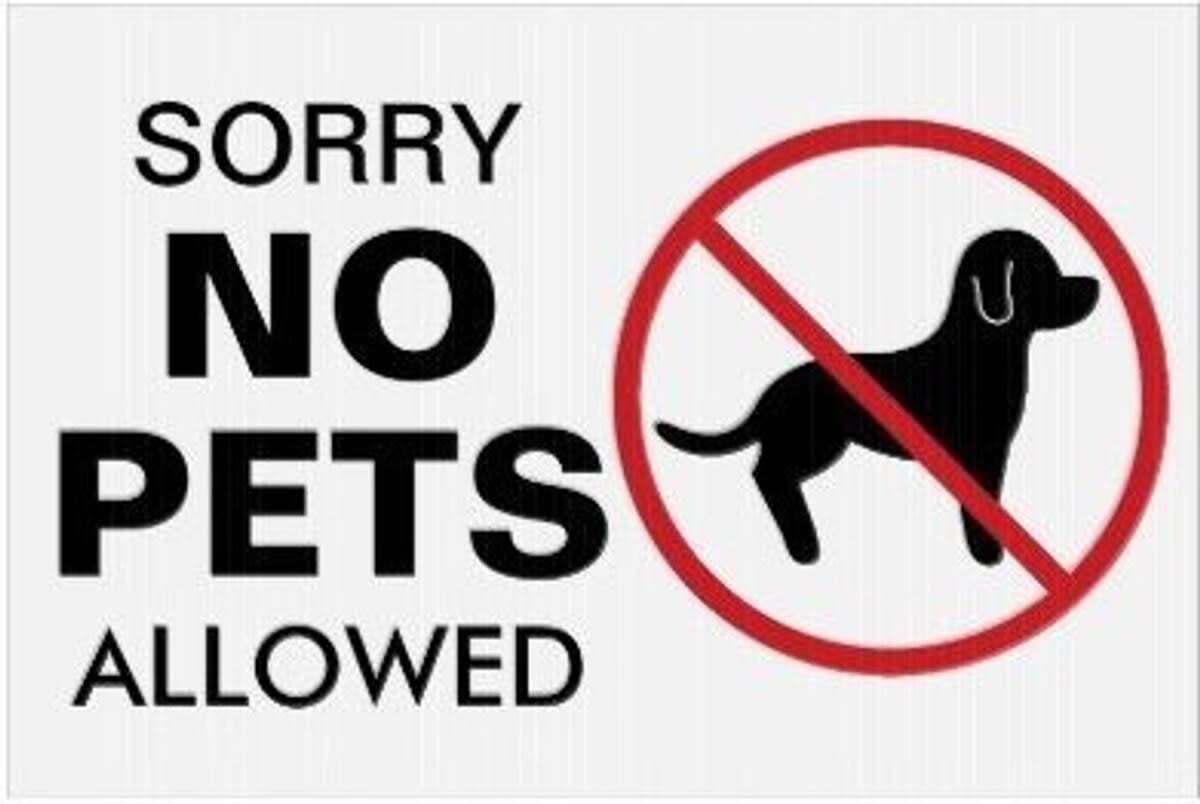 Sorry, no pets