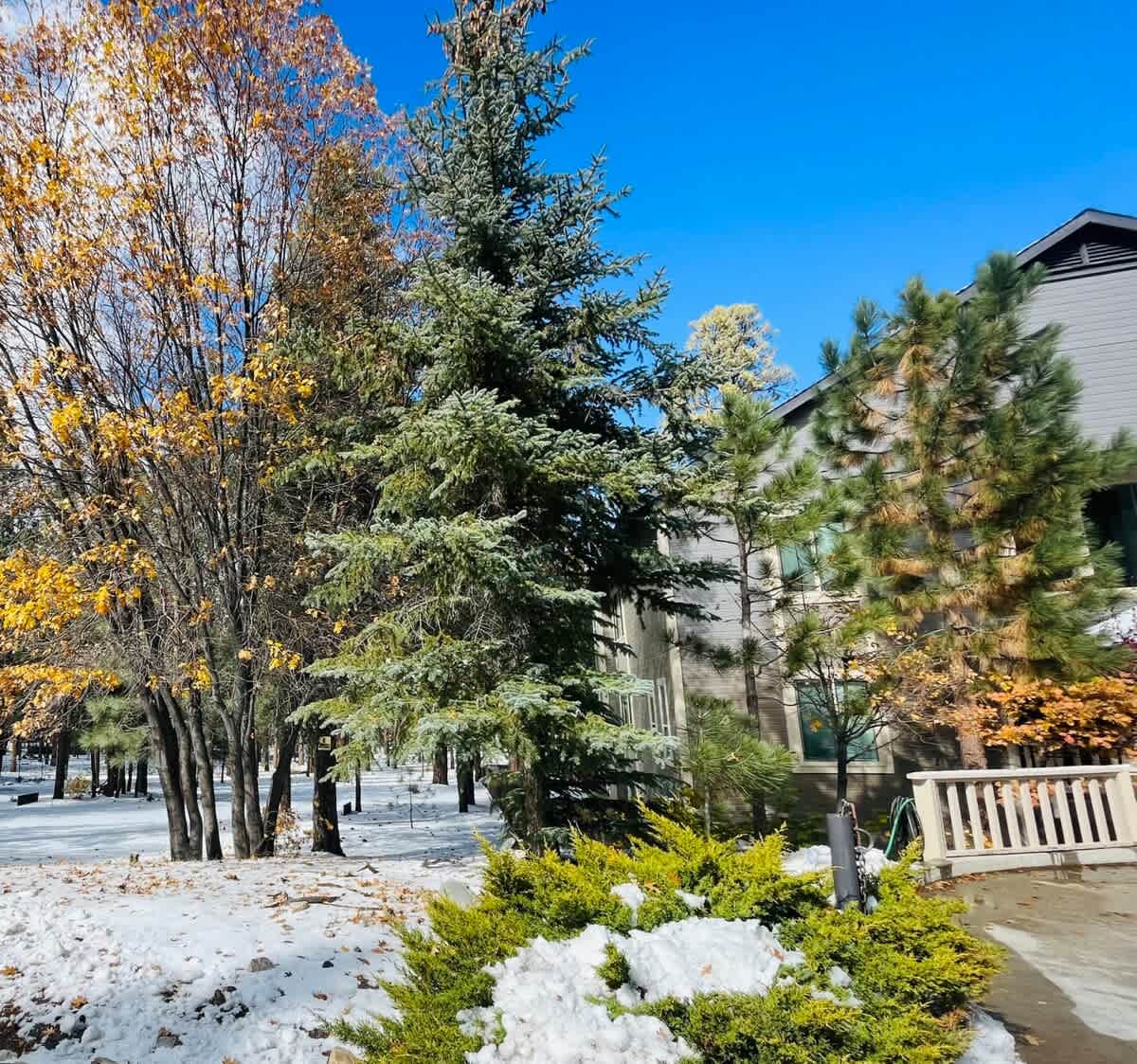 Side empty lot for snow play