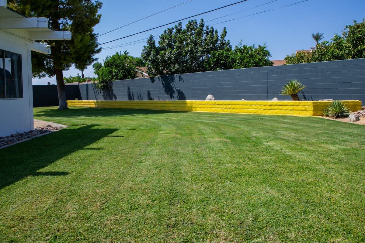 Huge double lot backyard with nice grass.