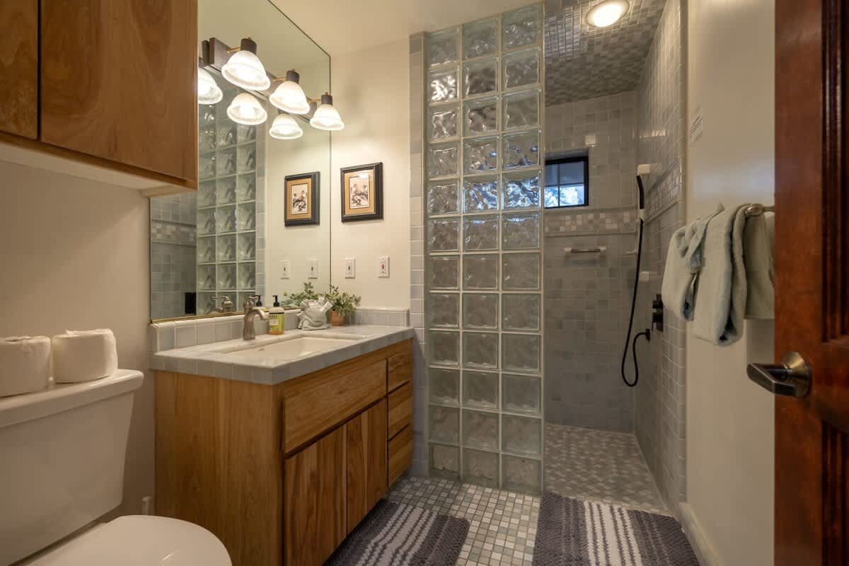 Bathroom with glass-block walk-in shower