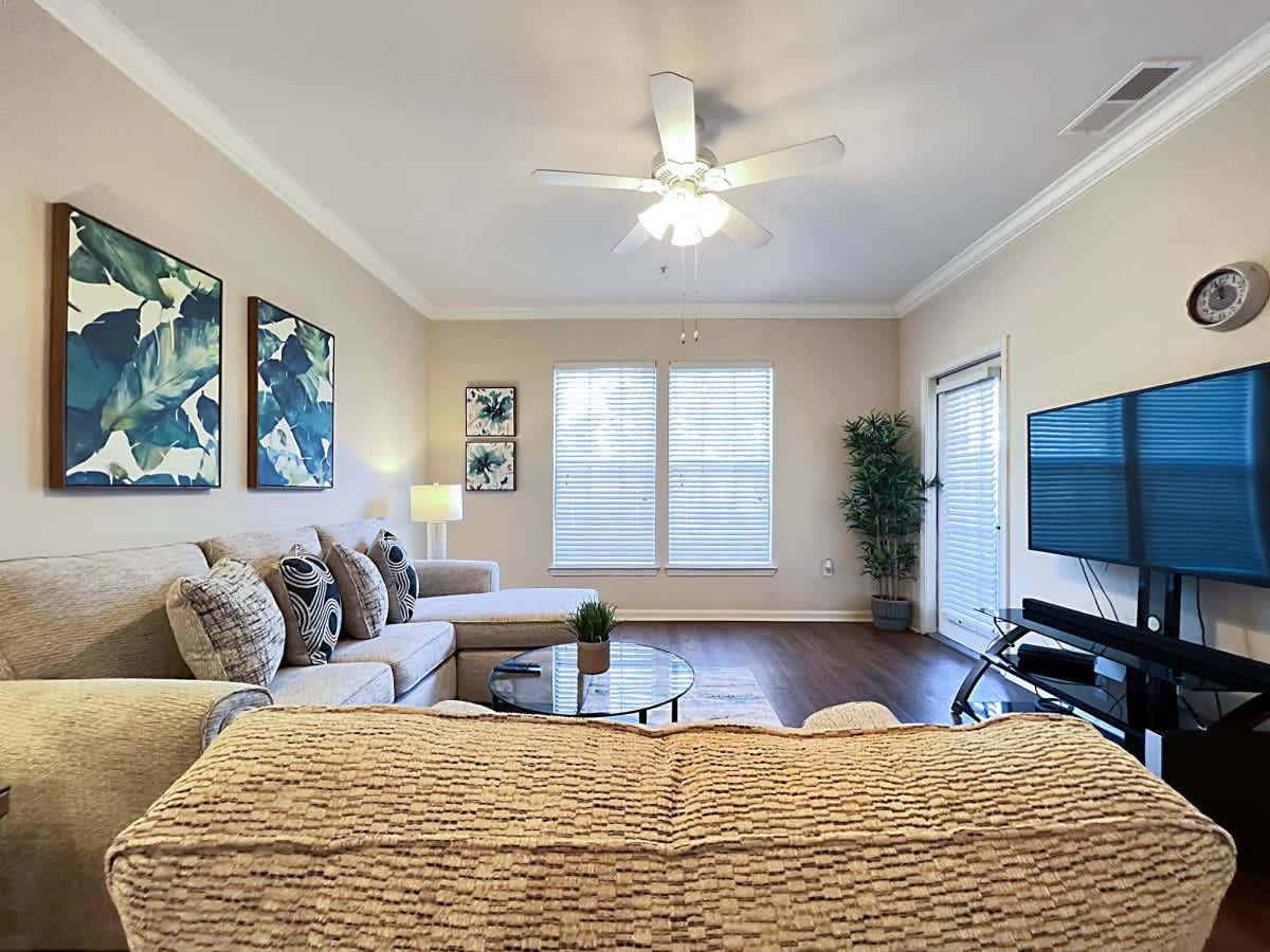 Luxury Living in Central Tampa, Work from Home