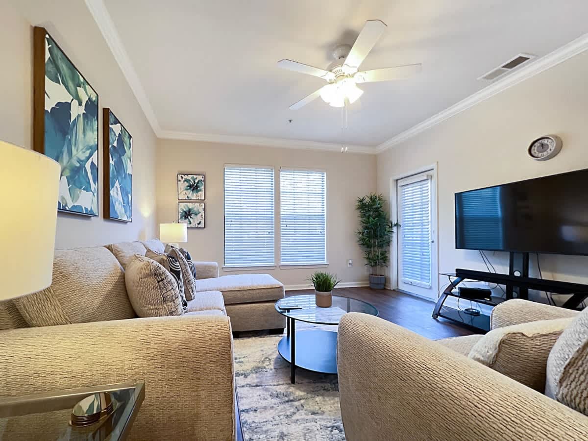 Luxury Living in Central Tampa, Work from Home