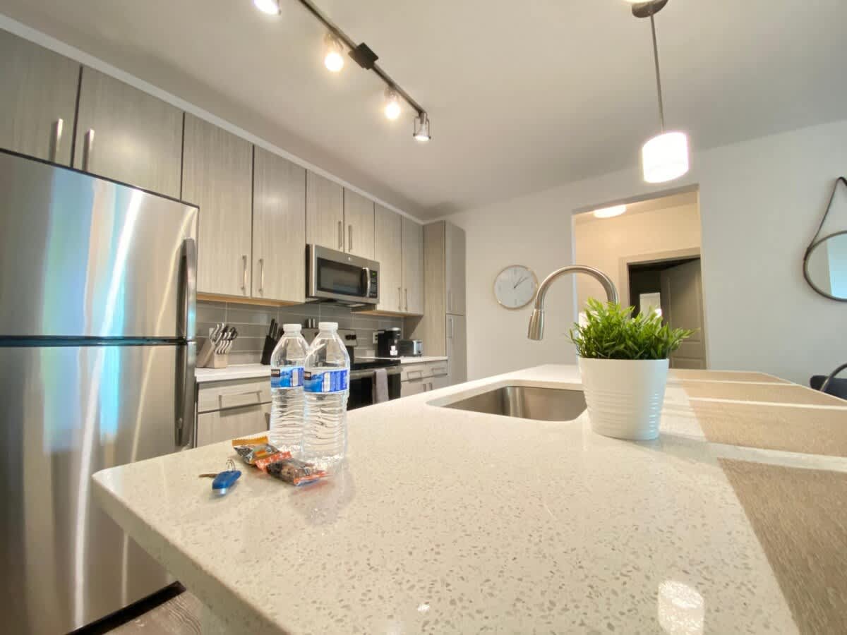 Heart of Tampa, Beaches and Parks, Courtyard Views