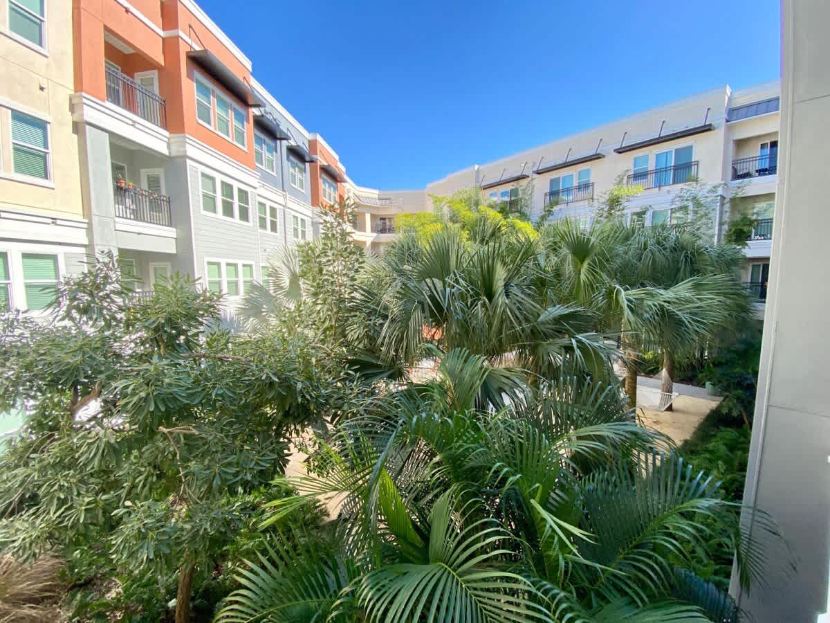 Heart of Tampa, Beaches and Parks, Courtyard Views