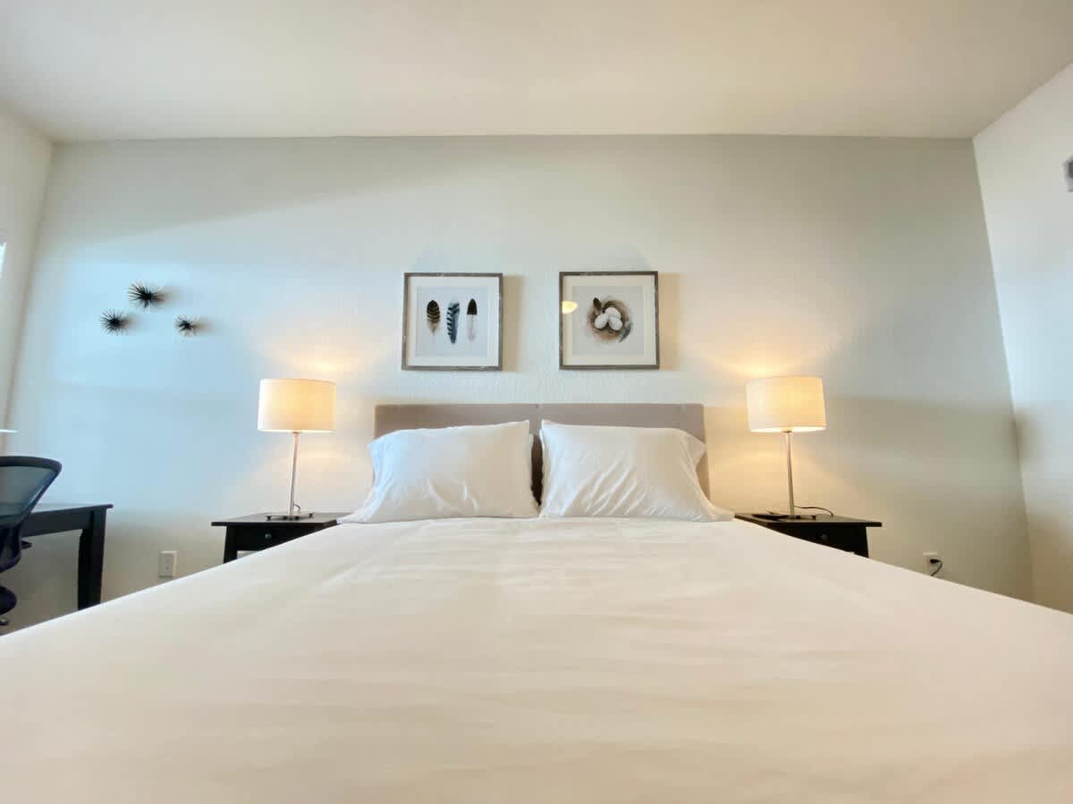 Heart of Tampa, Beaches and Parks, Courtyard Views