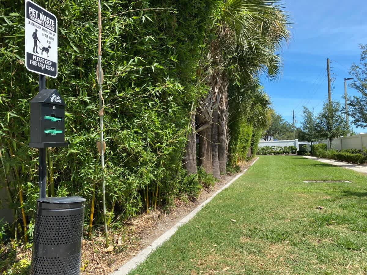 Heart of Tampa, Beaches and Parks, Courtyard Views