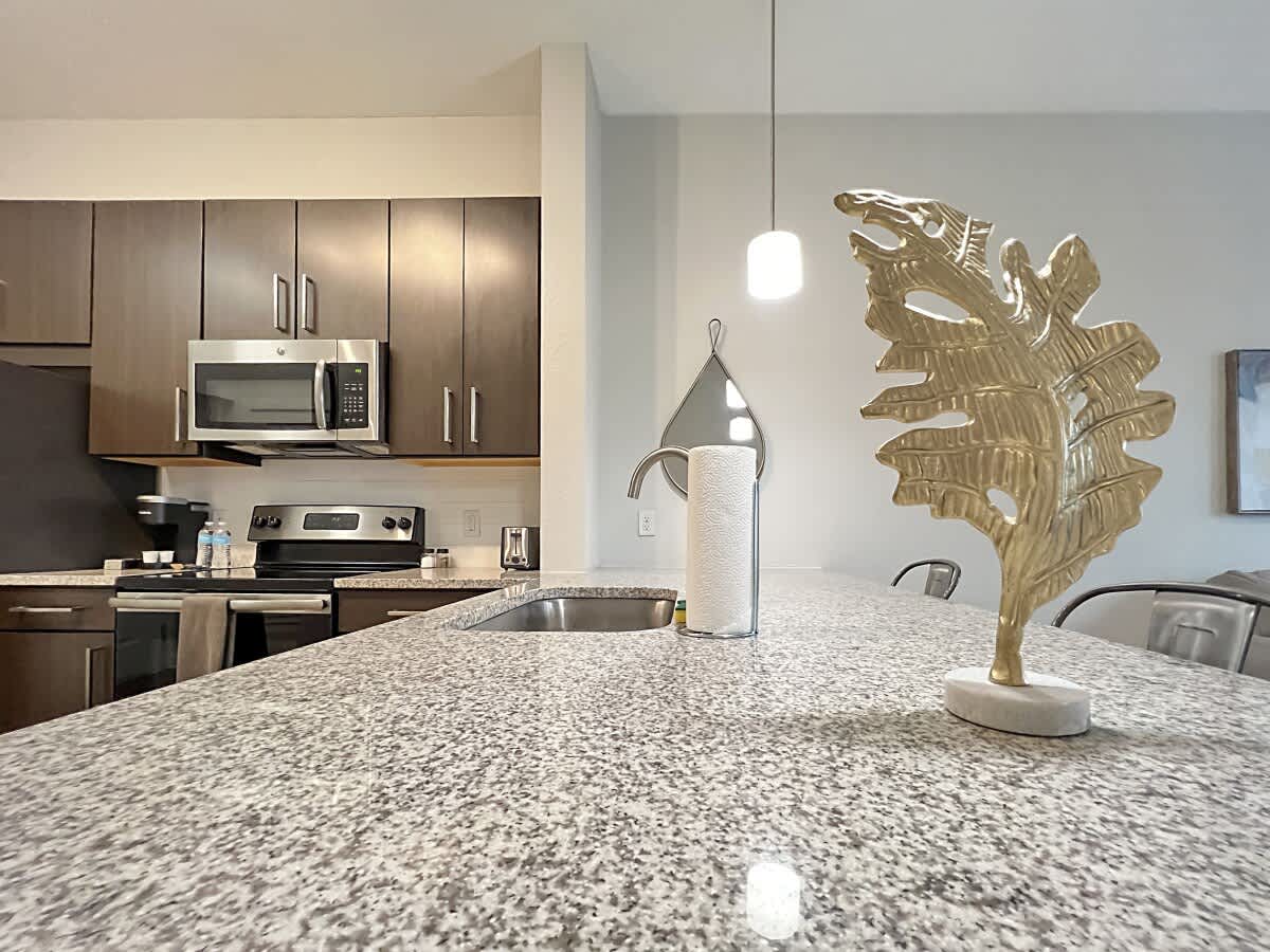 Heart of Downtown Tampa with Pool Views