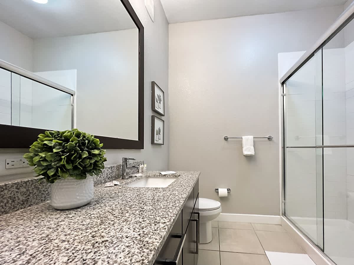 Heart of Downtown Tampa with Pool Views