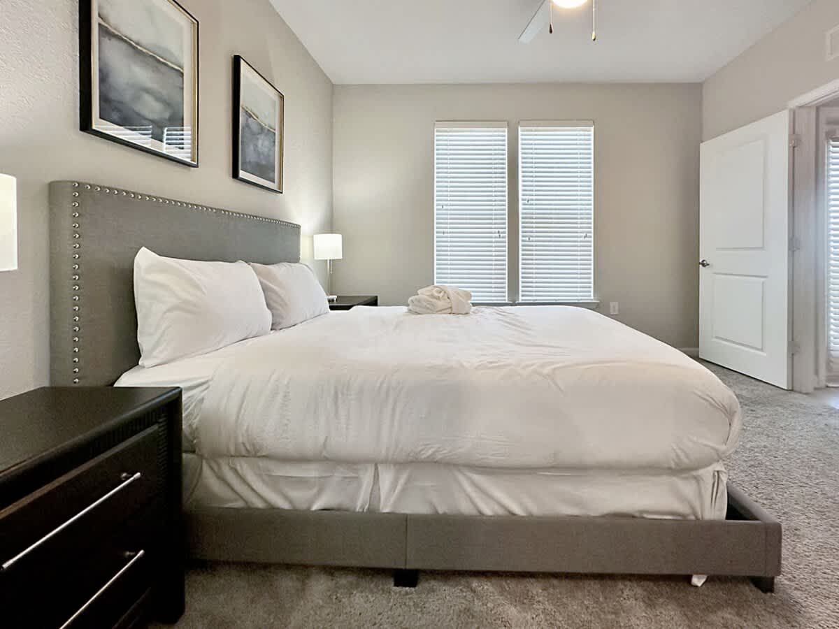 Luxury 1 BR in Clearwater, Upscale, Modern Amenities