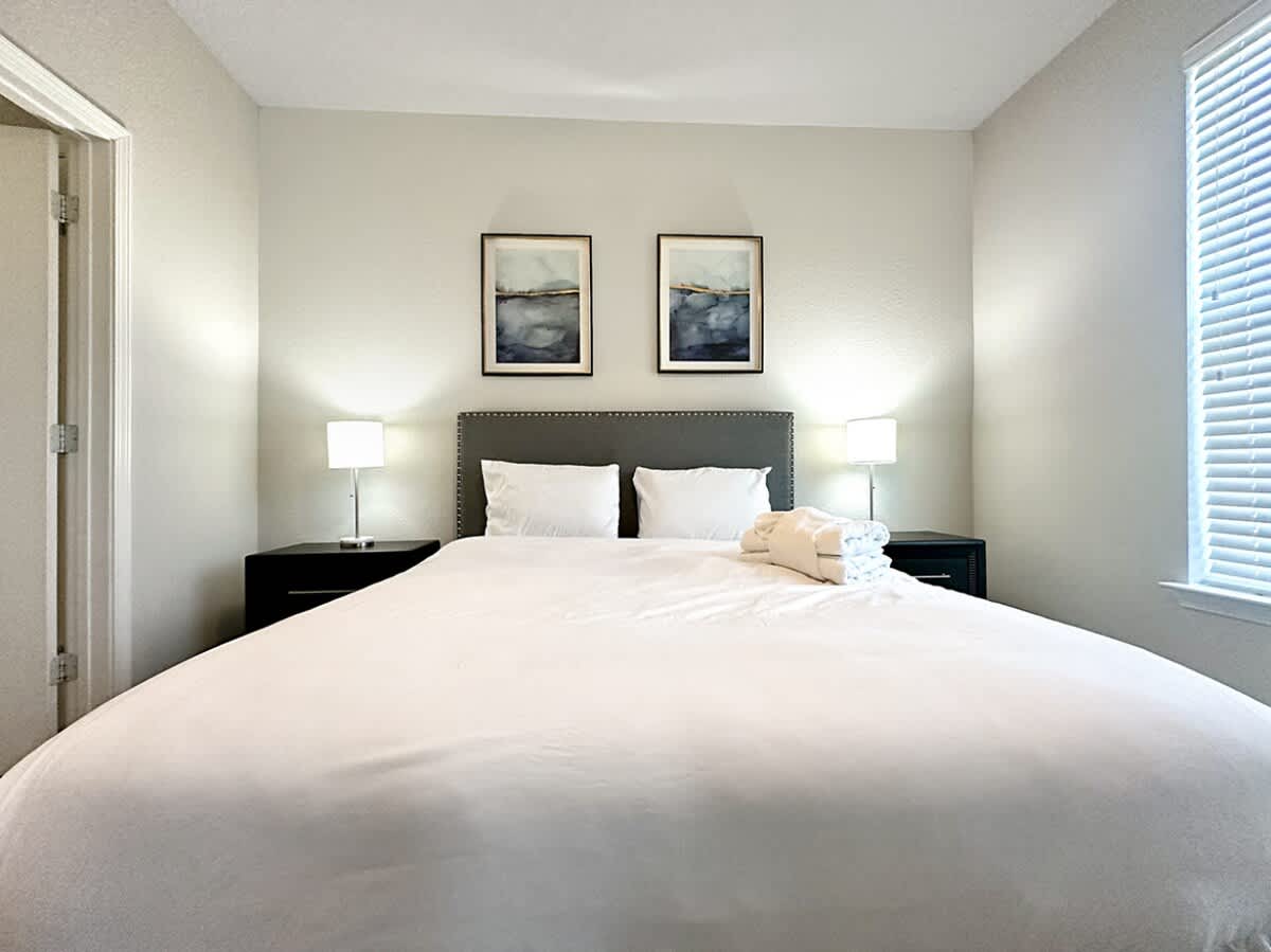 Luxury 1 BR in Clearwater, Upscale, Modern Amenities