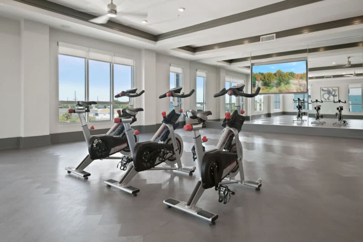 Luxury 1 BR in Clearwater, Upscale, Modern Amenities