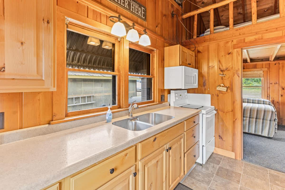 Cozy cabin kitchen with wood paneling and modern appliances