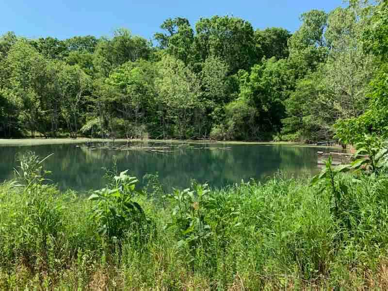 Lake Davis