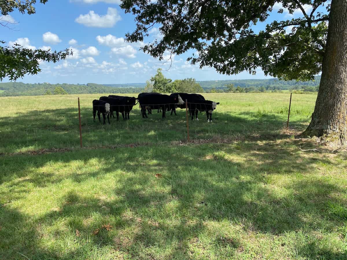 Closest Neighbors 