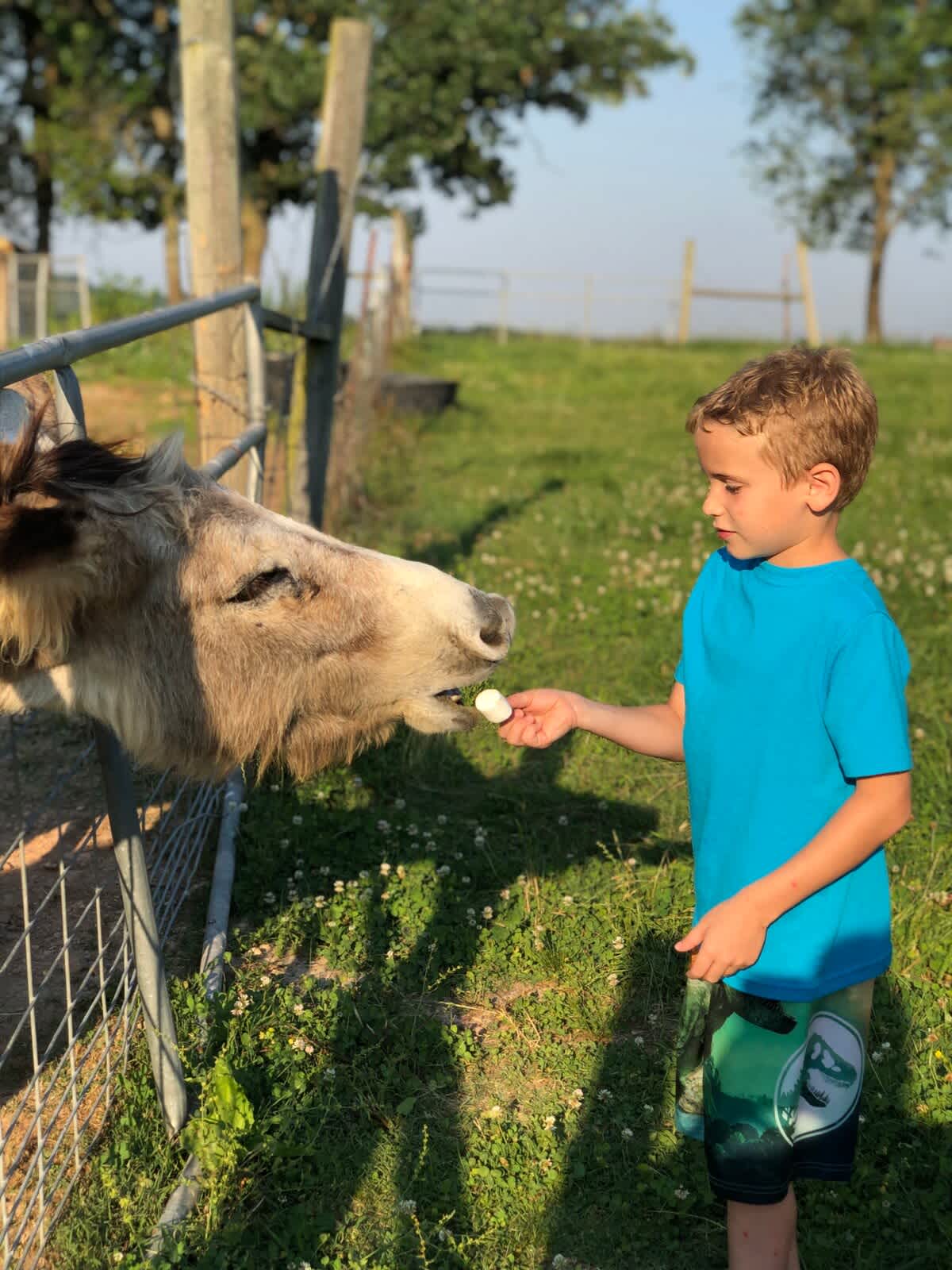 Farm animal tour is special time at the Varnadoe Villa. 