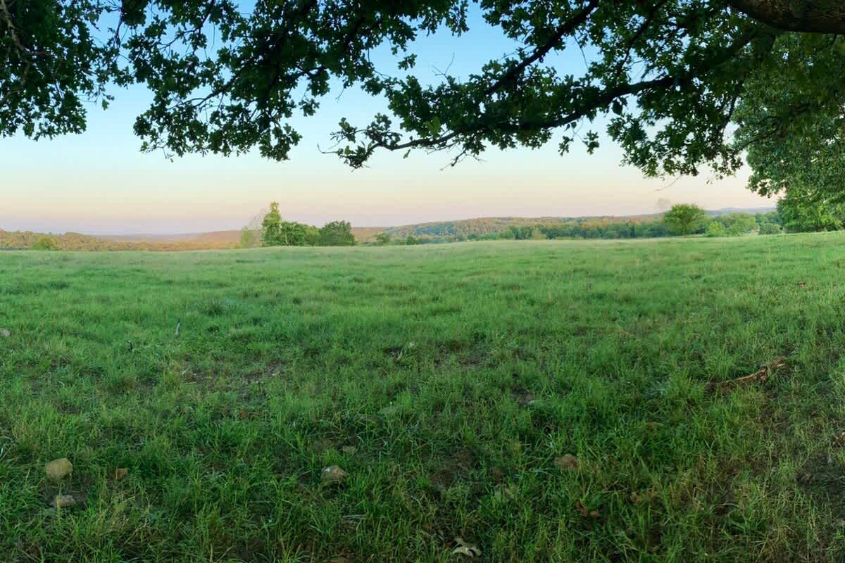 View of the pasture to the left/ East as you walk out the front door of the Varnadoe Villa. Enjoy breath taking sun/ moon rises as they come up over the hillside. 
