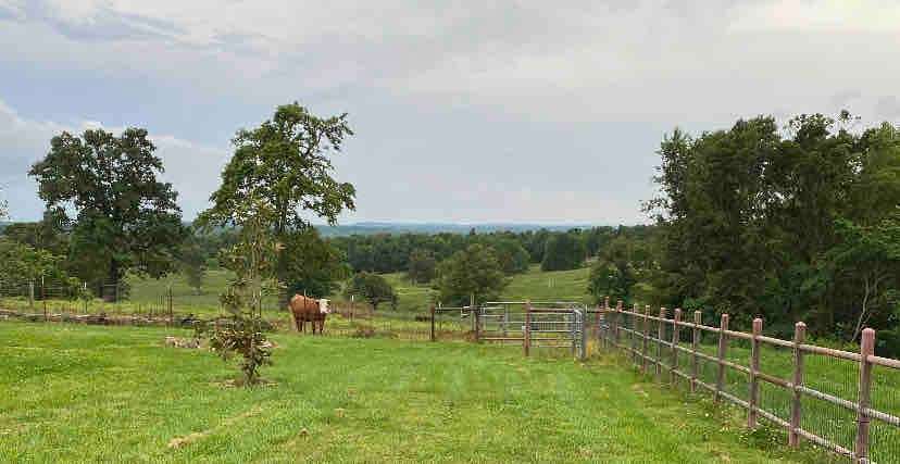 Guests are invited to farm and animal feeding tour daily around sunset weather permitting!